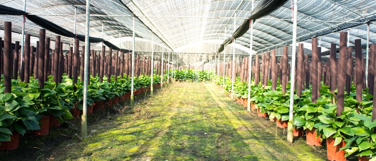 Productos 100 % Naturales