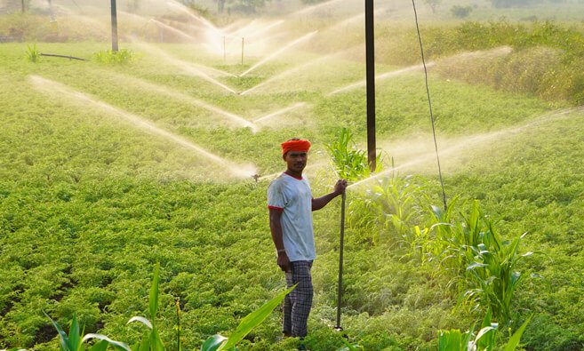 Productos de Temporada: