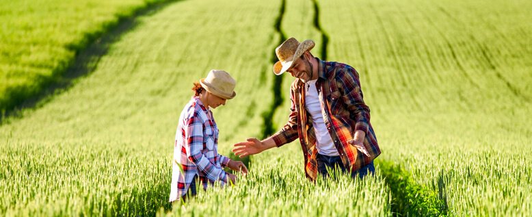 Venta al Por Mayor y Menor